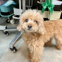 画像3227