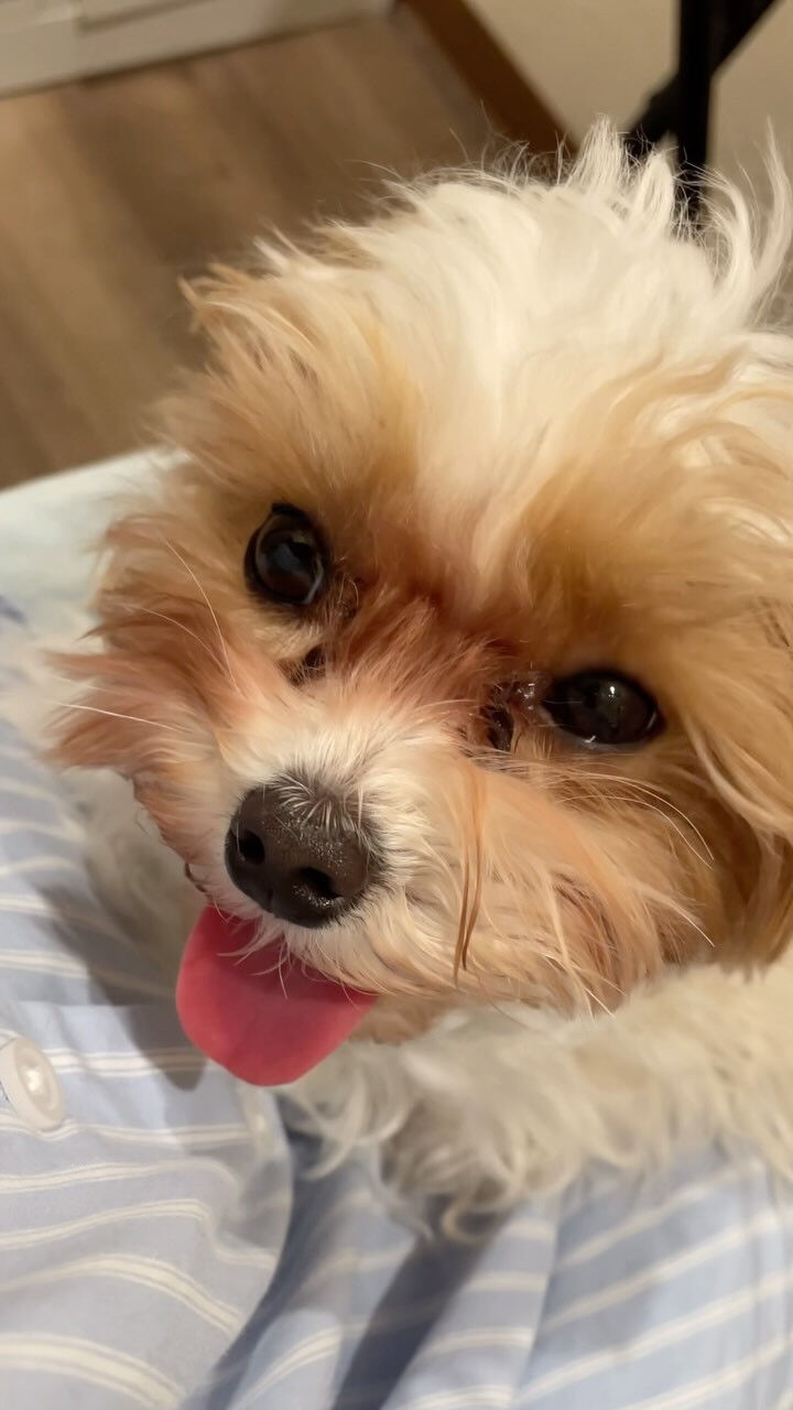 動画サムネイル