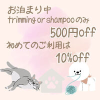 画像3374