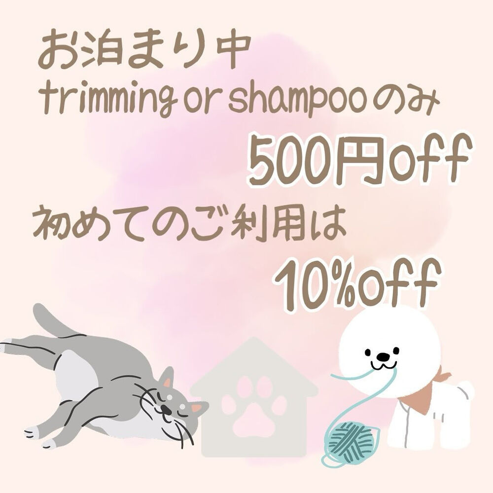 画像3374