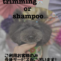 画像3376