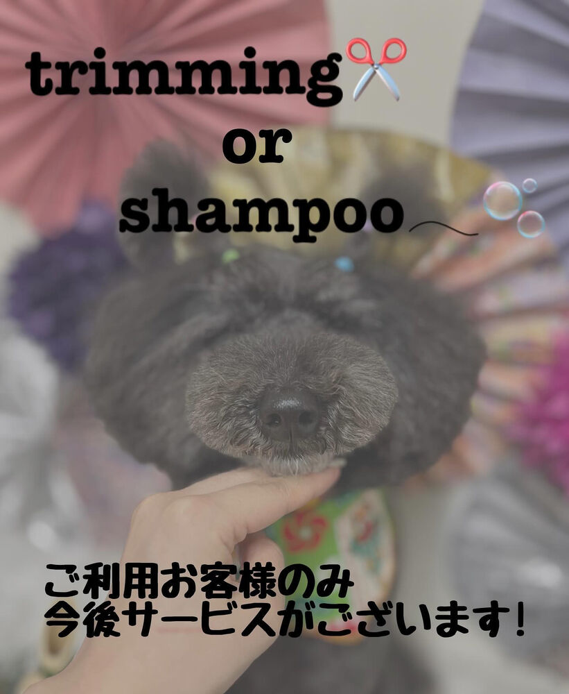 画像3376