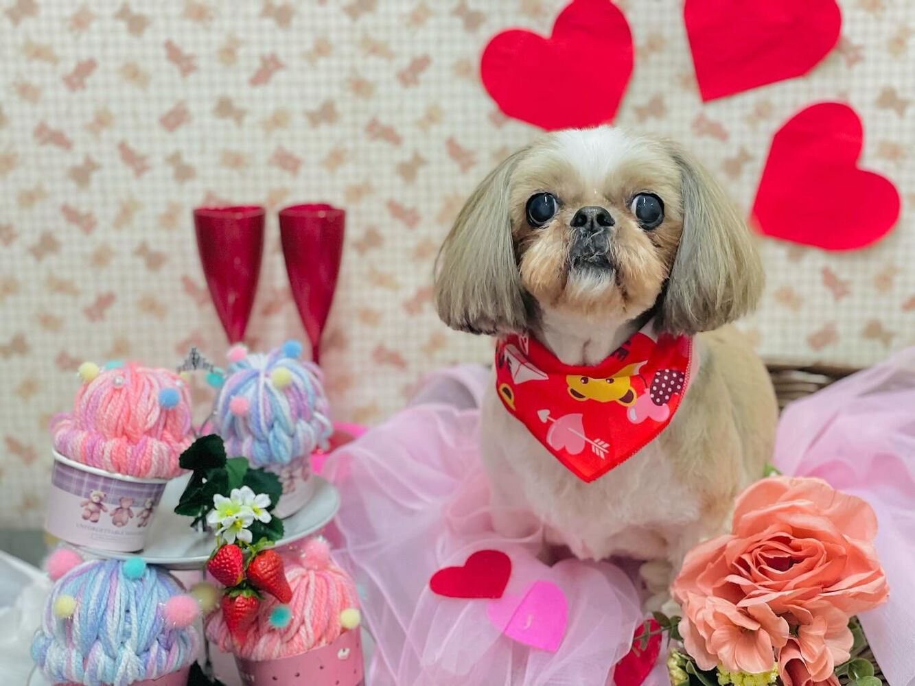 画像3467