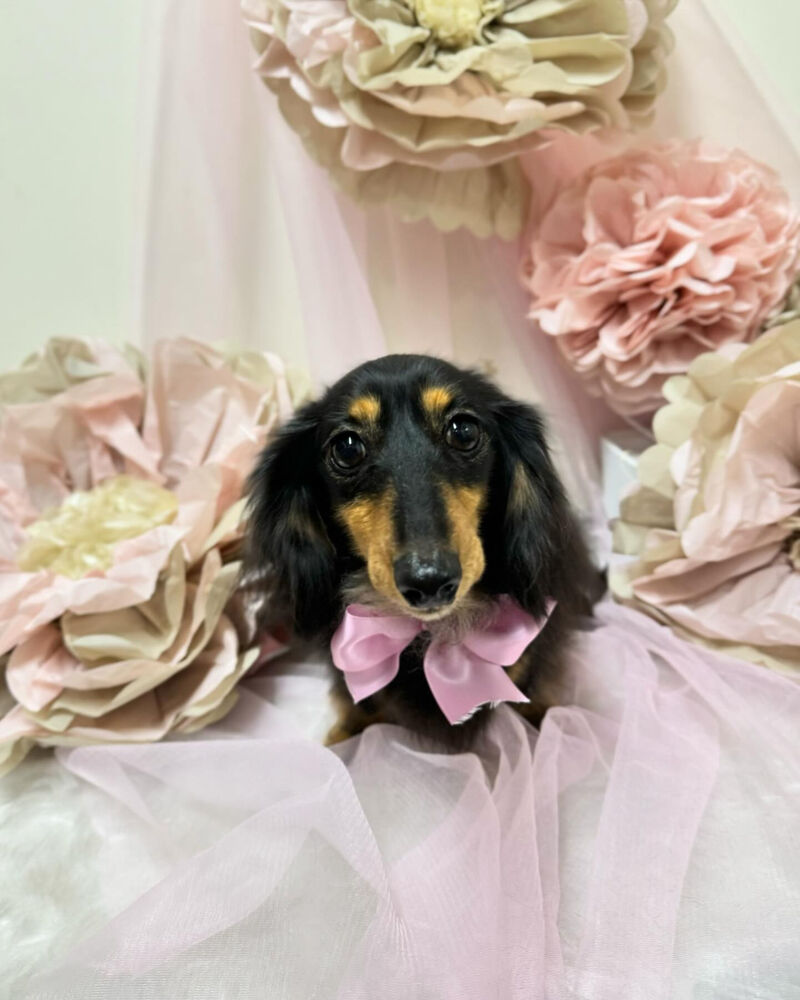 画像3676