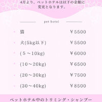 画像3784