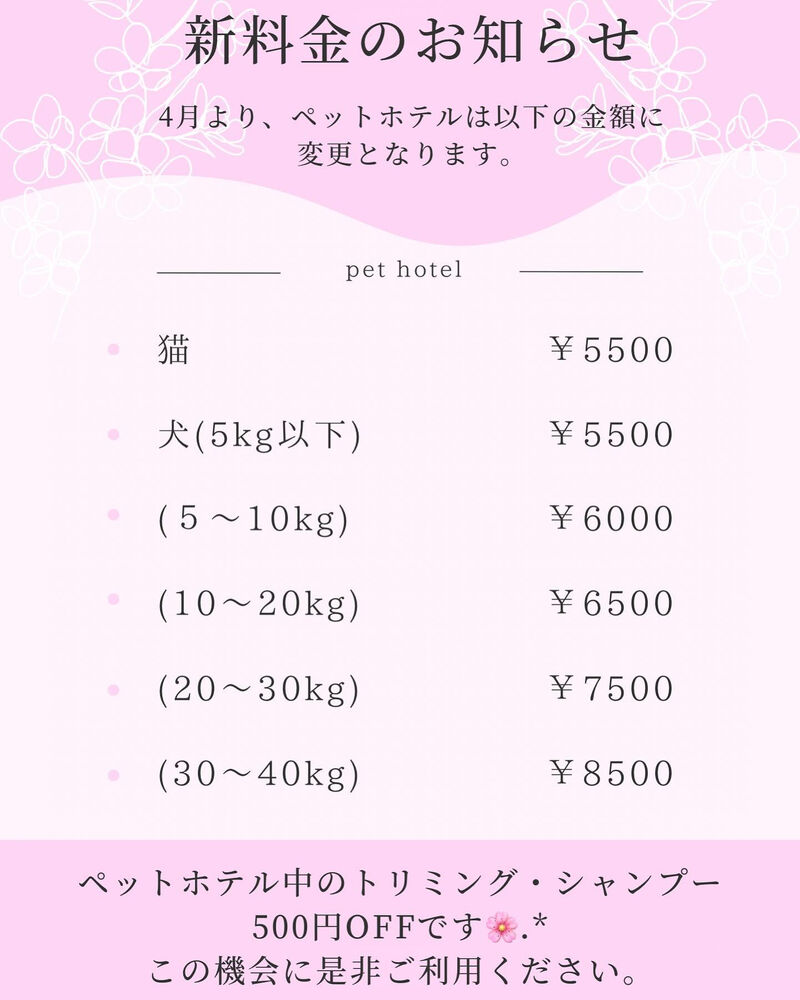 画像3784