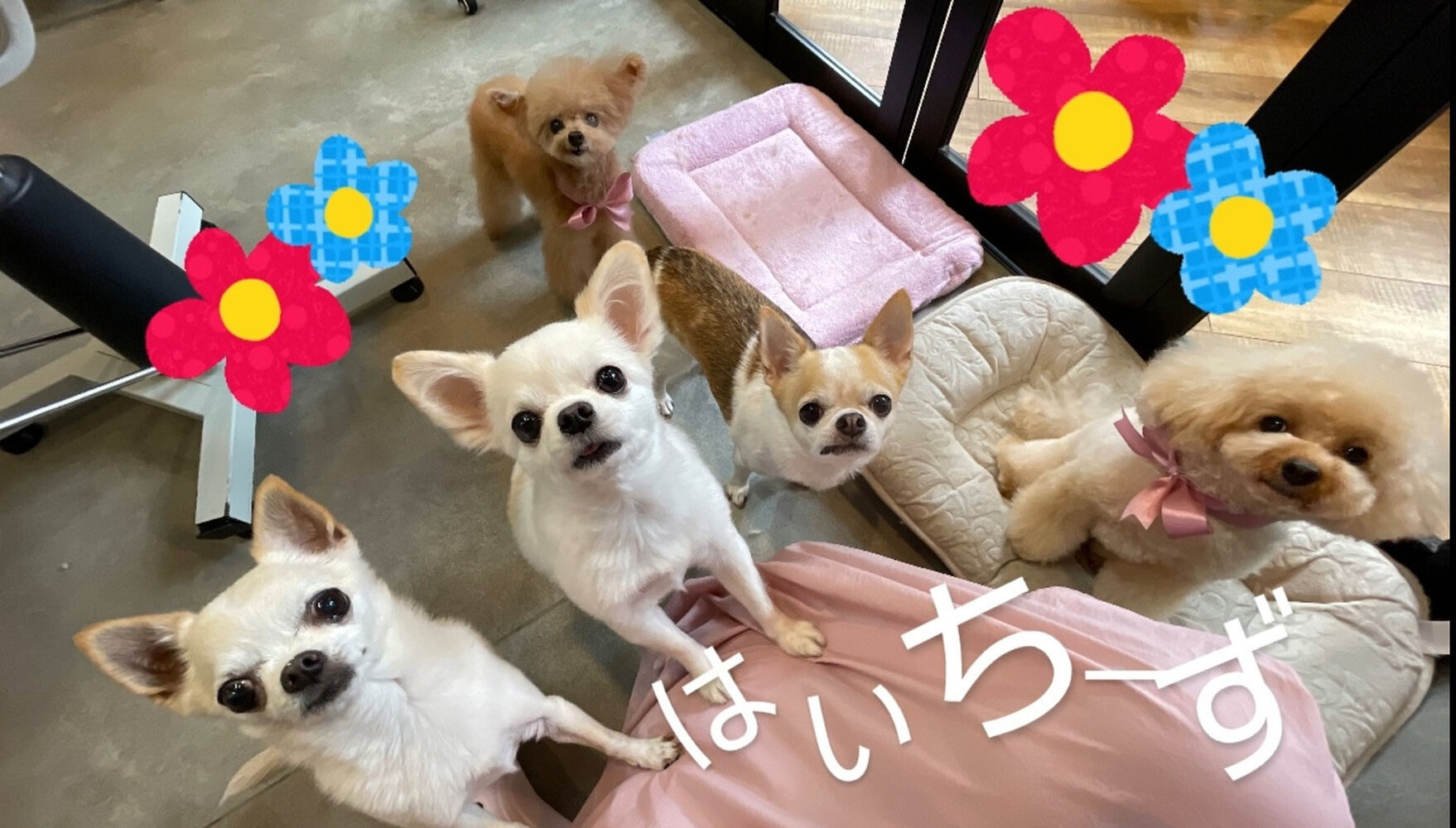 画像3831