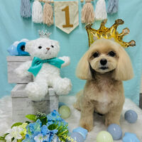 画像3938