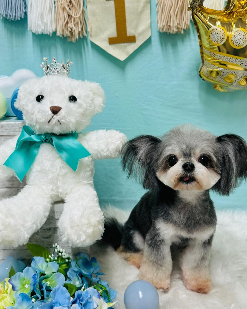 画像4067
