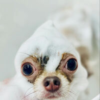 画像4504