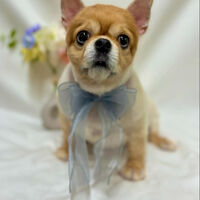 画像4511
