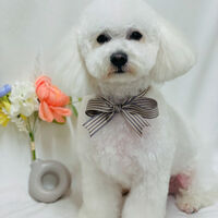 画像4537