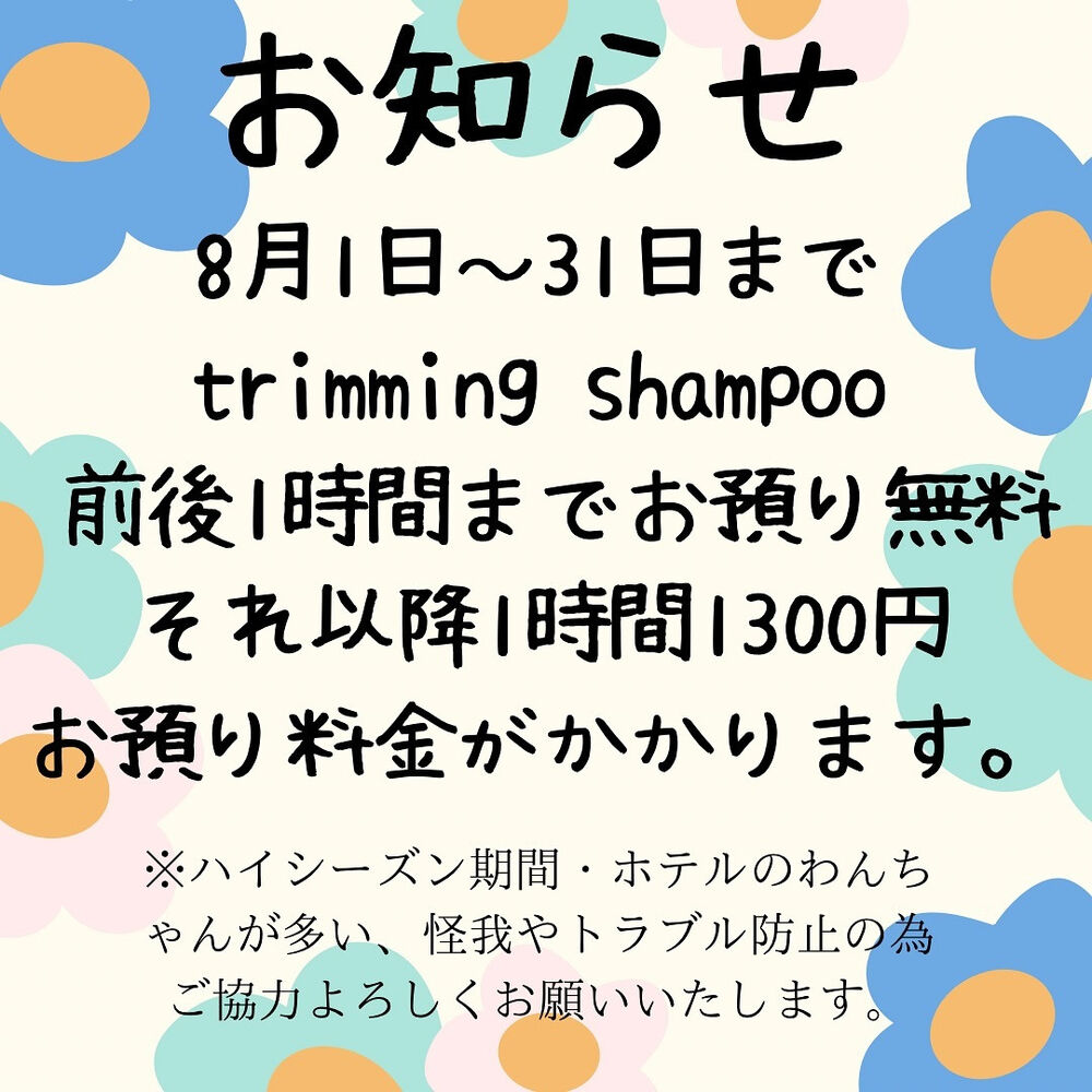 画像4596